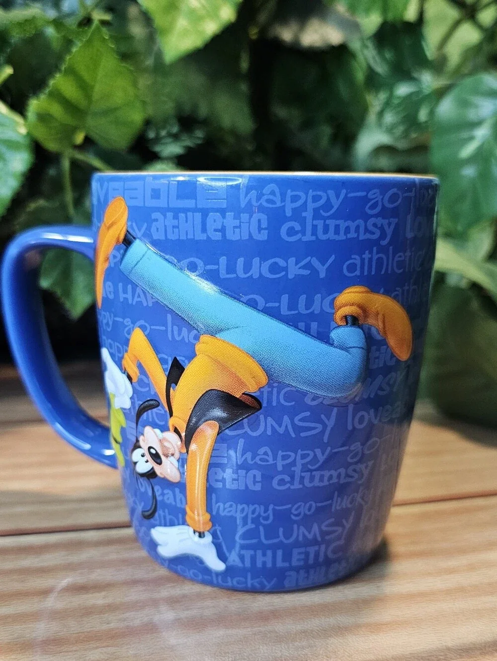 Disney fun parks
